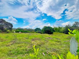  Land for sale in Ibague, Tolima, Ibague