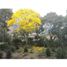 3 Bedroom Apartment for sale in Venadillo, Tolima, Venadillo, Tolima