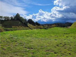  Terreno (Parcela) en venta en La Ceja, Antioquia, La Ceja