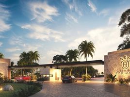  Land for sale in Cancun, Quintana Roo, Cancun