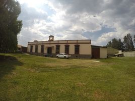 14 Schlafzimmer Haus zu verkaufen in Almoloya De Juarez, Mexico, Almoloya De Juarez