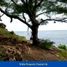  Land for sale in Tepus, Yogyakarta, Tepus, Gunung Kidul