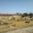 在Irapuato, Guanajuato出售的 土地, Irapuato