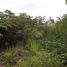  Terreno (Parcela) en venta en Pamulang, Banten, Pamulang
