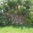  Land for sale in Sedayu, Bantul, Sedayu