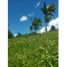 4 Bedroom Villa for sale in El Carmen De Viboral, Antioquia, El Carmen De Viboral
