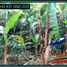  Land for sale in Selemadeg, Tabanan, Selemadeg