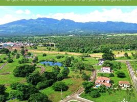  Land for sale in Tiaong, Quezon, Tiaong