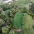  Land for sale in Rionegro, Antioquia, Rionegro, Antioquia