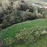  Land for sale in Rionegro, Antioquia, Rionegro, Antioquia