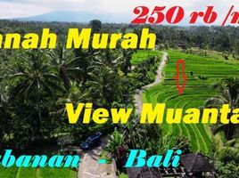  Land for sale in Kerambitan, Tabanan, Kerambitan