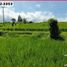  Land for sale in Kerambitan, Tabanan, Kerambitan