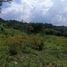 Terrain à vendre à Guadalajara, Jalisco, Guadalajara