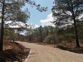  Terreno (Parcela) en venta en Atemajac De Brizuela, Jalisco, Atemajac De Brizuela