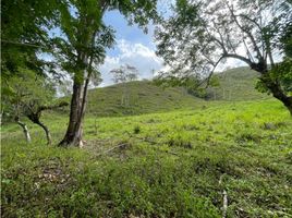 Studio Villa zu verkaufen in La Chorrera, Panama Oeste, Obaldia, La Chorrera