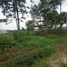  Terreno (Parcela) en venta en Sumurbandung, West Jawa, Sumurbandung, Bandung