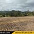  Land for sale in Ecuador, Javier Loyola Chuquipata, Azogues, Canar, Ecuador