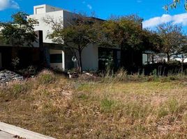  Land for sale in Morelia, Michoacan, Morelia, Michoacan