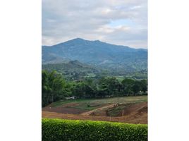  Land for sale in Risaralda, Caldas, Risaralda