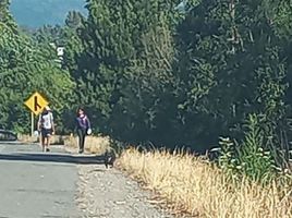  Terreno (Parcela) en venta en Loncoche, Cautín, Loncoche