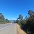  Terreno (Parcela) en venta en Loncoche, Cautín, Loncoche