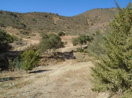  Terreno (Parcela) en venta en Melipilla, Santiago, Curacavi, Melipilla