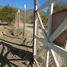  Terreno (Parcela) en venta en Melipilla, Santiago, Curacavi, Melipilla
