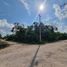 Land for sale in Cancun, Quintana Roo, Cancun