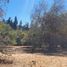  Terreno (Parcela) en venta en Melipilla, Santiago, Curacavi, Melipilla