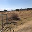  Land for sale in Zapotlanejo, Jalisco, Zapotlanejo