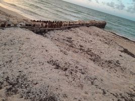  Terreno (Parcela) en venta en Progreso, Yucatán, Progreso