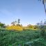  Terreno (Parcela) en venta en Ngemplak, Yogyakarta, Ngemplak
