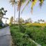  Terreno (Parcela) en venta en Ngemplak, Yogyakarta, Ngemplak