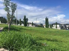  토지을(를) 동부 지역, 메트로 마닐라에서 판매합니다., Quezon City, 동부 지역
