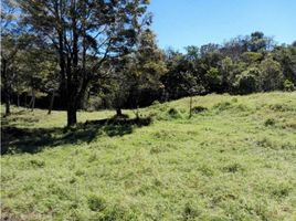  Terrain for sale in Alanje, Chiriqui, Alanje, Alanje