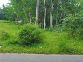  Terreno (Parcela) en venta en Sleman, Yogyakarta, Sleman, Sleman