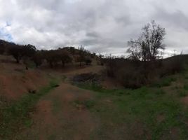  Land for sale in Chile, Santiago, Santiago, Santiago, Chile