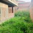 4 Bedroom House for sale in Salamanca, Guanajuato, Salamanca