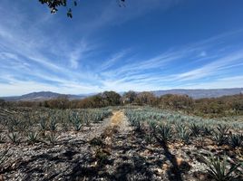  Terreno (Parcela) en venta en Tequila, Jalisco, Tequila