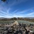  Land for sale in Tequila, Jalisco, Tequila
