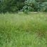  Land for sale in Jiutepec, Morelos, Jiutepec