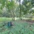  Terrain for sale in Dolega, Chiriqui, Dolega, Dolega