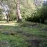  Land for sale in General Pueyrredon, Buenos Aires, General Pueyrredon