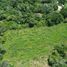  Land for sale in Manzanillo, Colima, Manzanillo