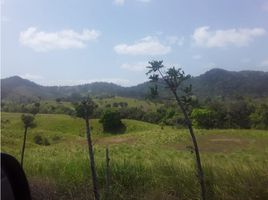  Land for sale in Colon, Cativa, Colon, Colon