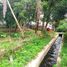  Terreno (Parcela) en venta en Mlati, Yogyakarta, Mlati