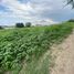  Land for sale in Manta, Manabi, Manta, Manta