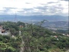  Grundstück zu verkaufen in Ixtapan De La Sal, Mexico, Ixtapan De La Sal