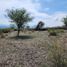  Land for sale in Sahuayo, Michoacan, Sahuayo