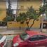 2 Habitación Apartamento en venta en Miguel Hidalgo, Ciudad de México, Miguel Hidalgo